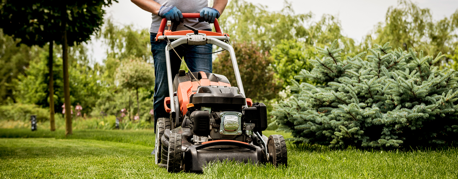 man mowing lawn