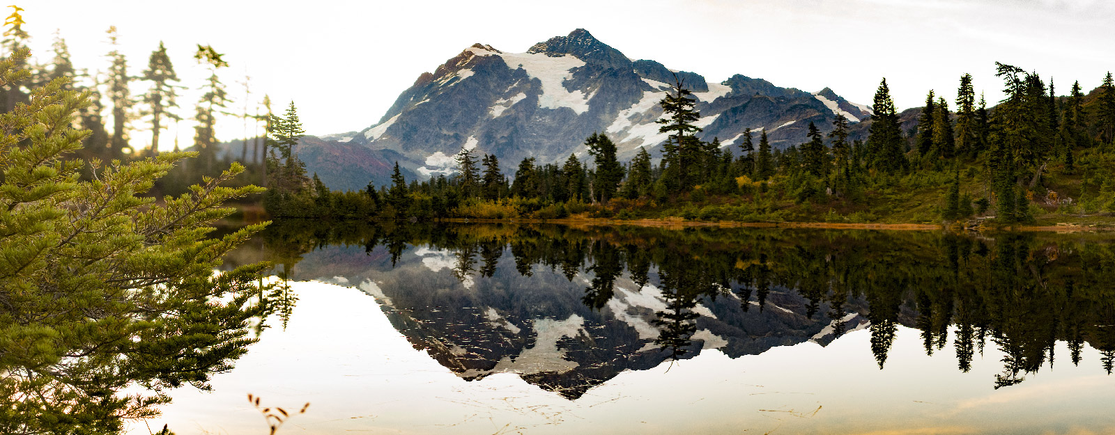 Forrest with waterfront and mountains in the background