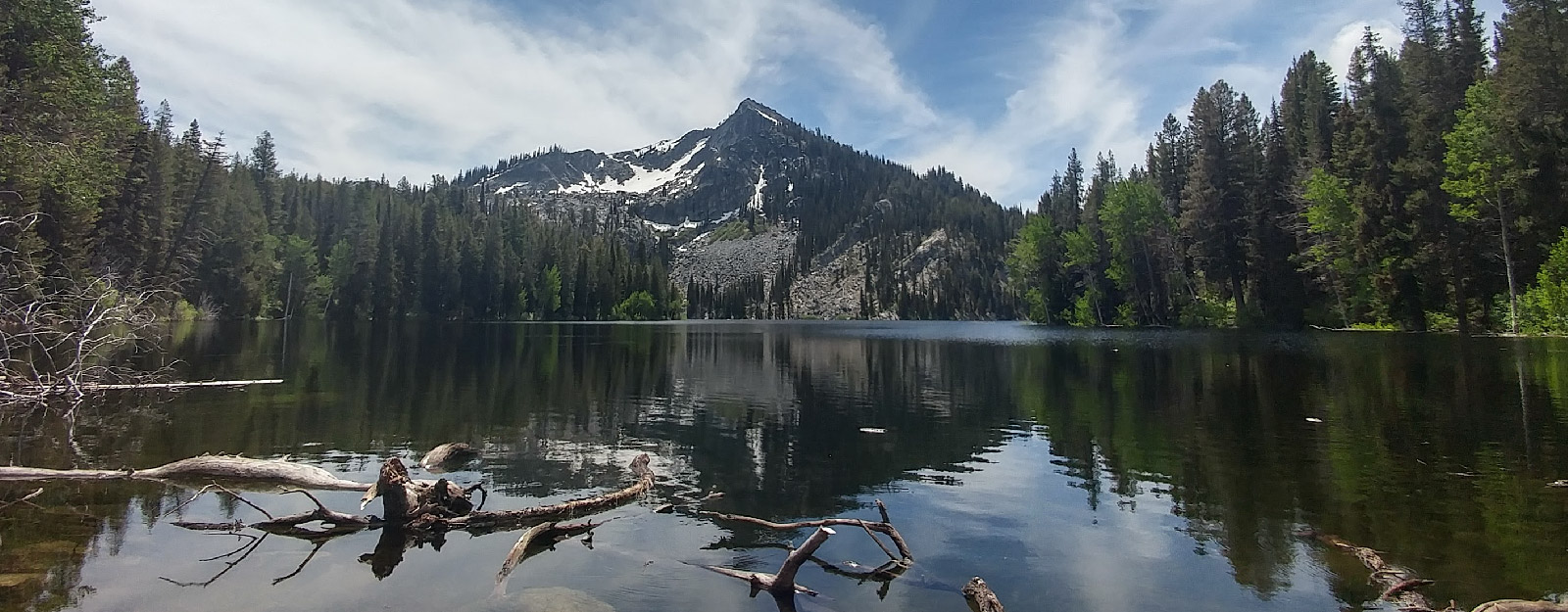 Forrest with water scene and mountains in the background