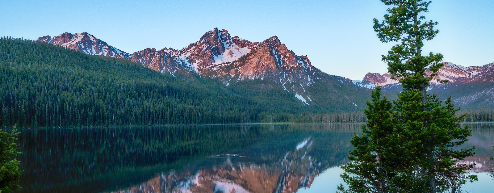 Forrest with waterfront and mountains in the background