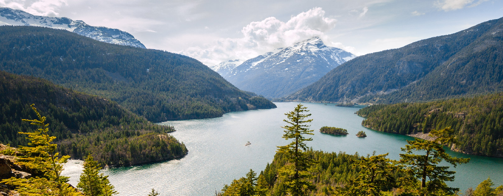 Forrest with waterfront and mountains in the background