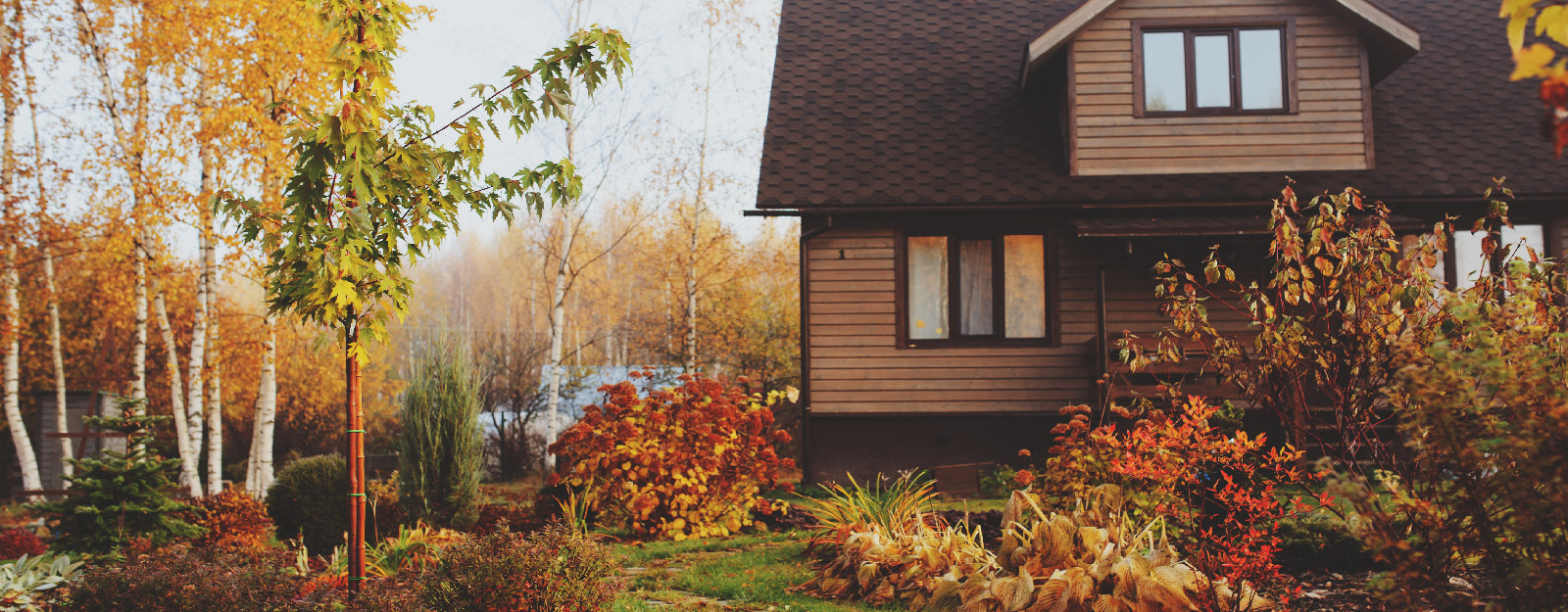 Home surrounded by trees turning for fall