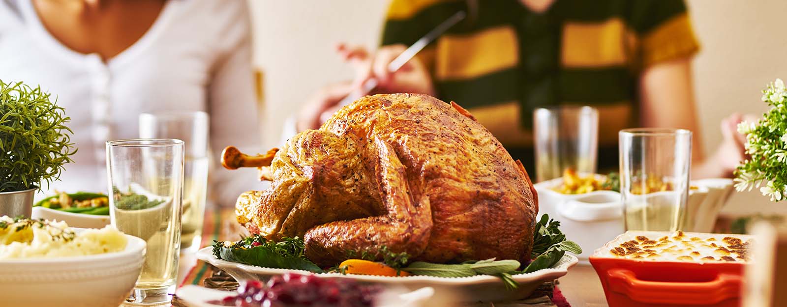 Turkey at dinner table