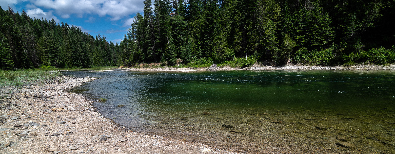 River bank in forrest