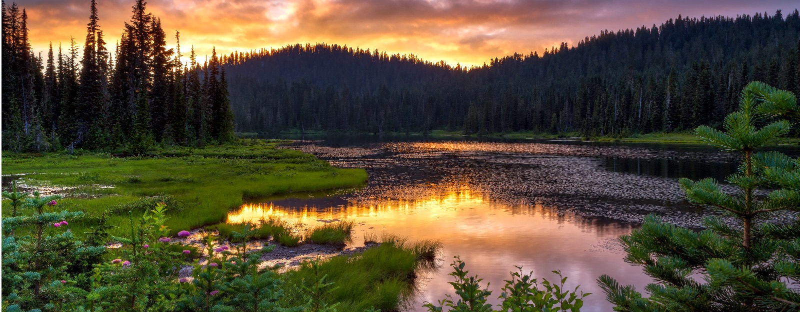Waterfront in forrest during sunset with mountains in the background
