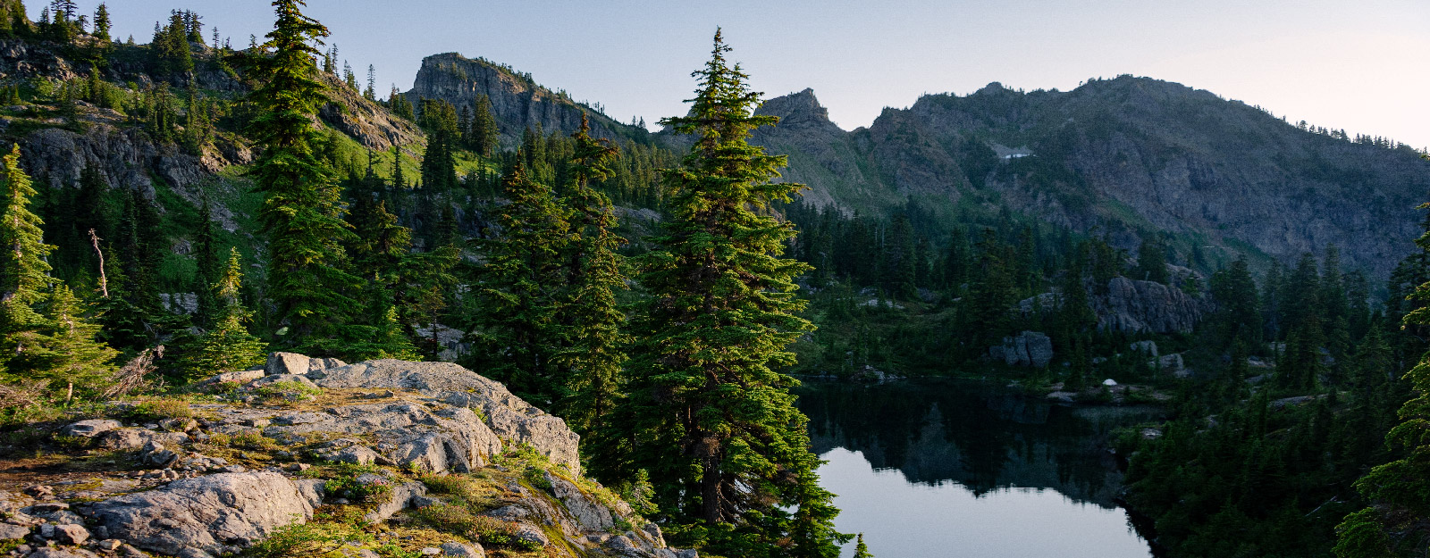 Forrest with waterfront and mountains in the background