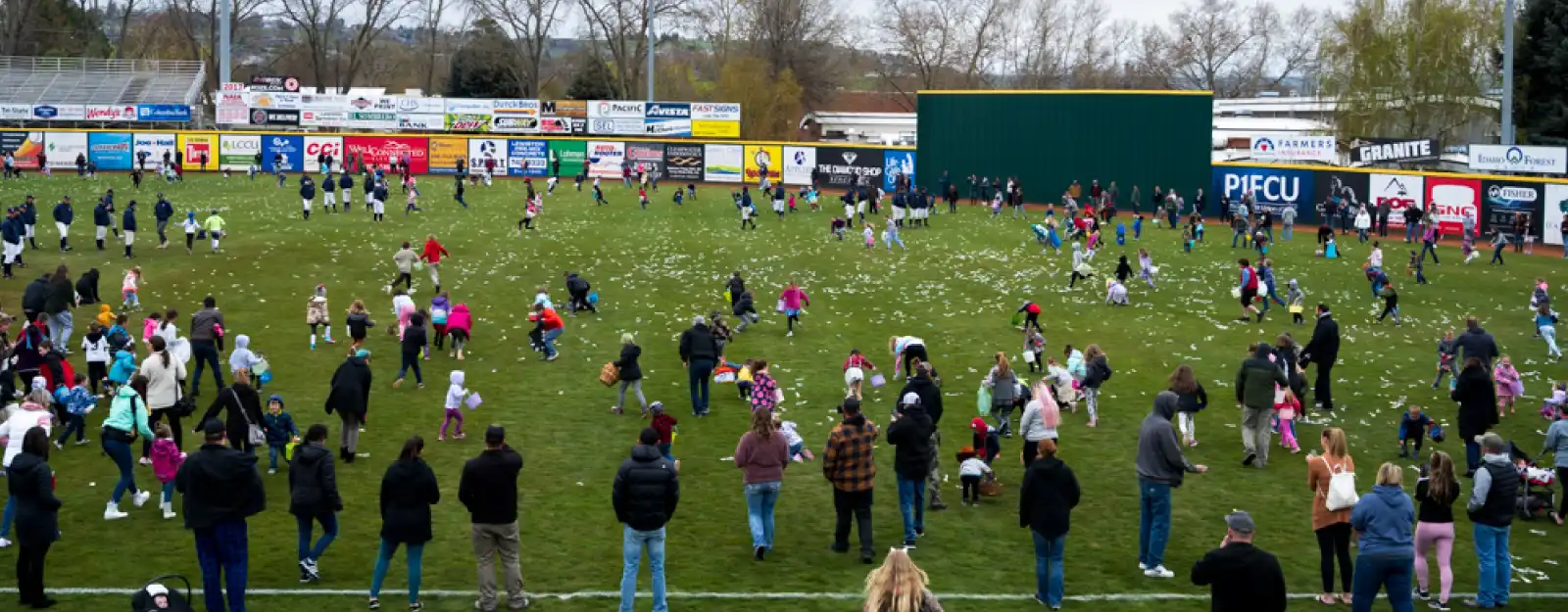 lots of people on a baseball field looking for easter eggs
