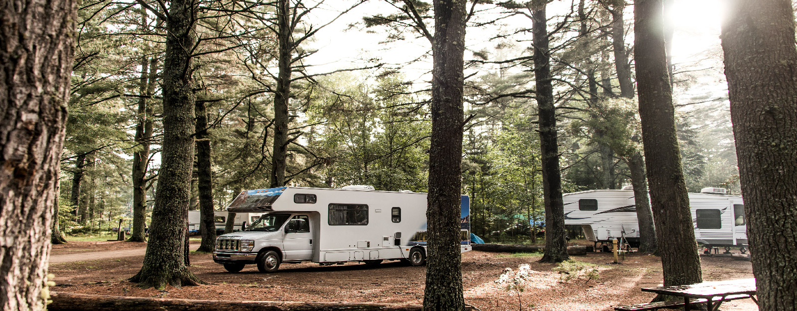 Campers driving through forrest